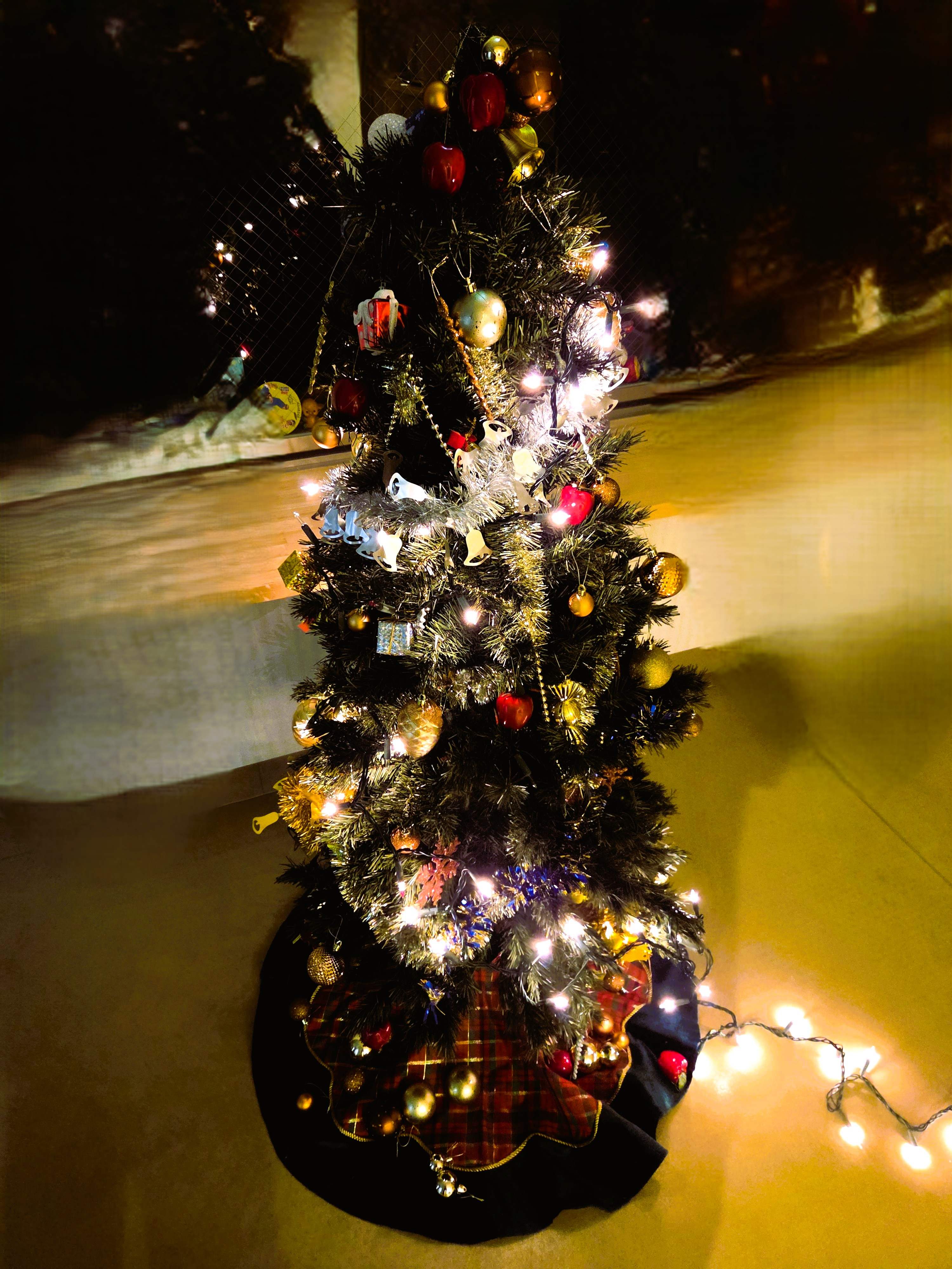 楽しい行事が沢山ありました！