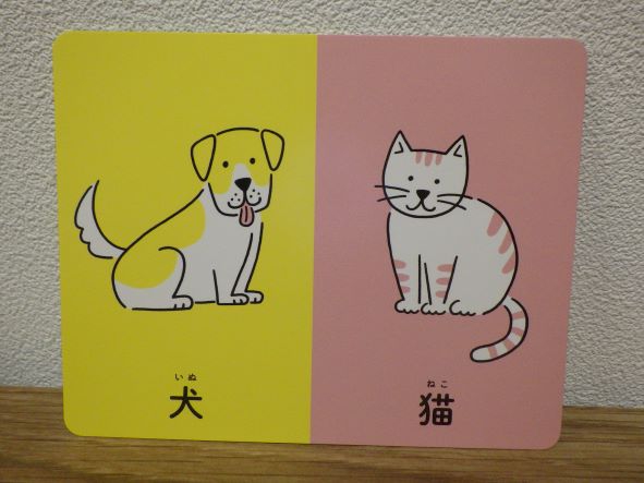 犬と猫、どっちが好き？