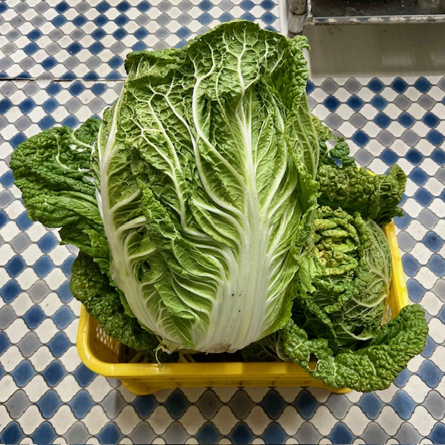 ご支援ありがとうございます！