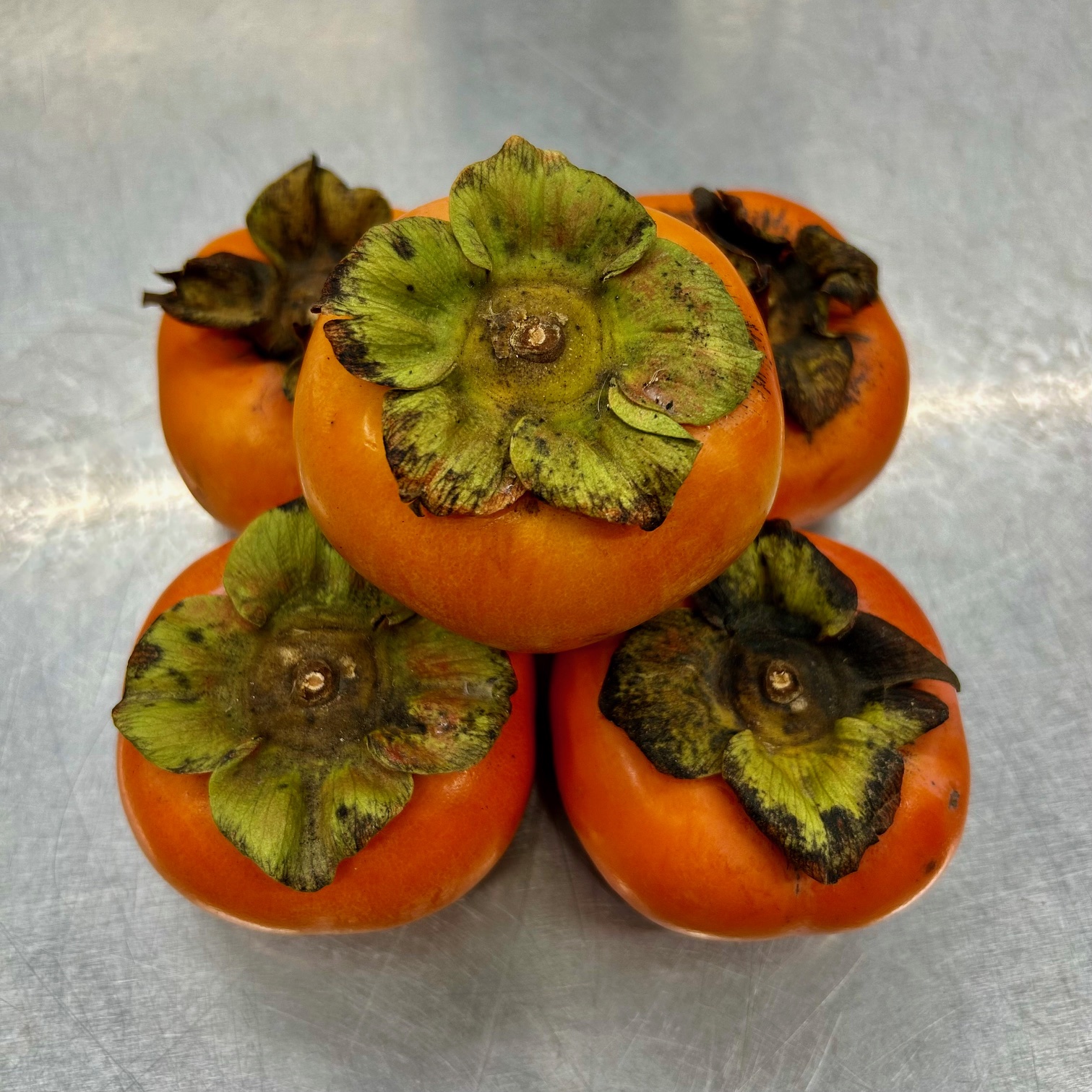 ご支援ありがとうございます！