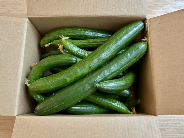 ２日連続で夏野菜ありがとうございます！