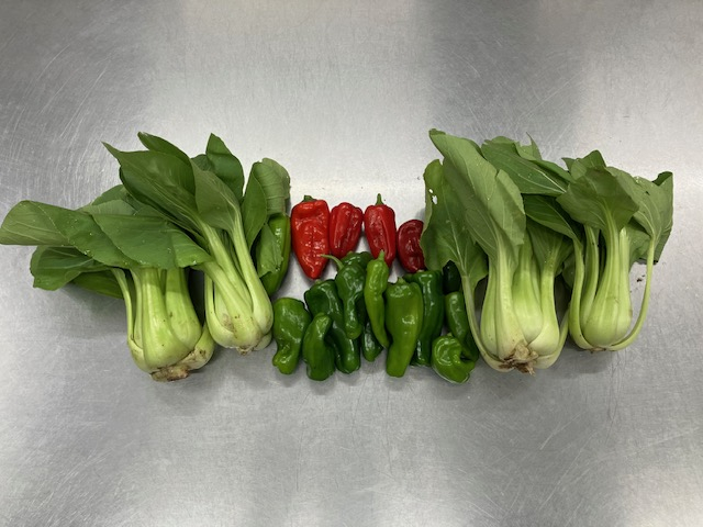 お野菜のご支援ありがとうございました！