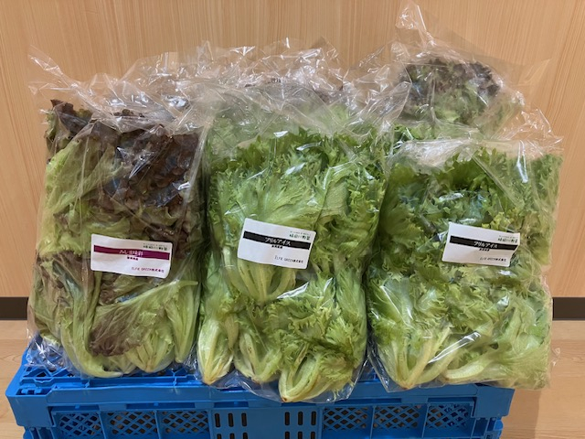 いつもレタスのご支援ありがとうございます！
