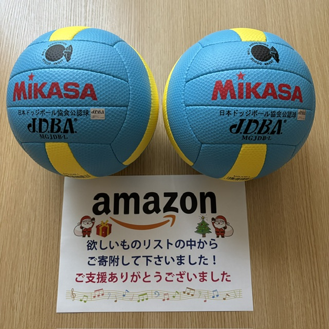 ドッジボール届きました！