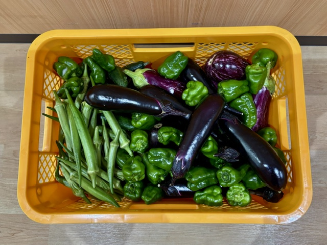 取り立ての夏野菜を頂きました！