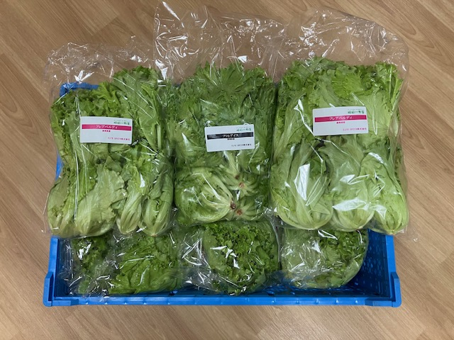いつもレタスのご支援ありがとうございます！