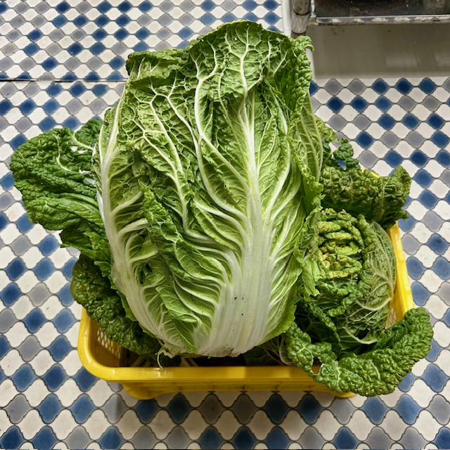 お野菜のご支援ありがとうございます！