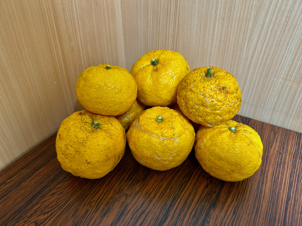 本日は冬至です！柚子を頂きました☆