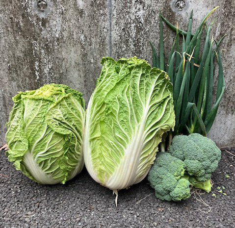 ご支援ありがとうございます！