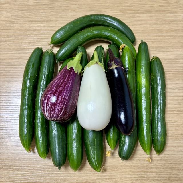 夏野菜ありがとうございます！