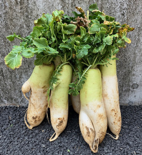 ご支援ありがとうございます！