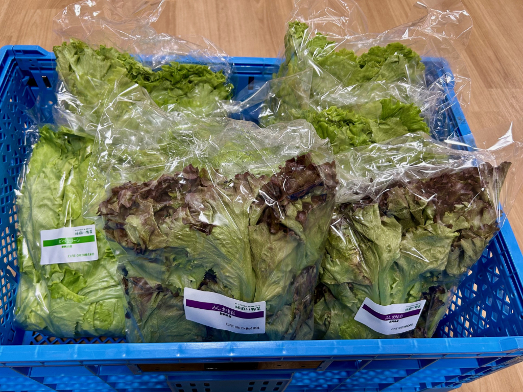 レタスのご支援ありがとうございます！