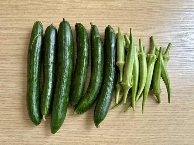 連日夏野菜のご支援ありがとうございます！