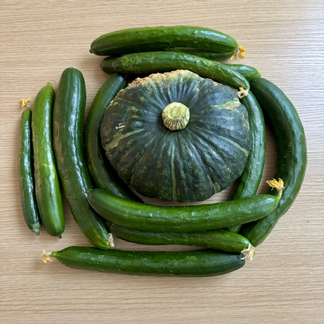夏野菜ありがとうございます！
