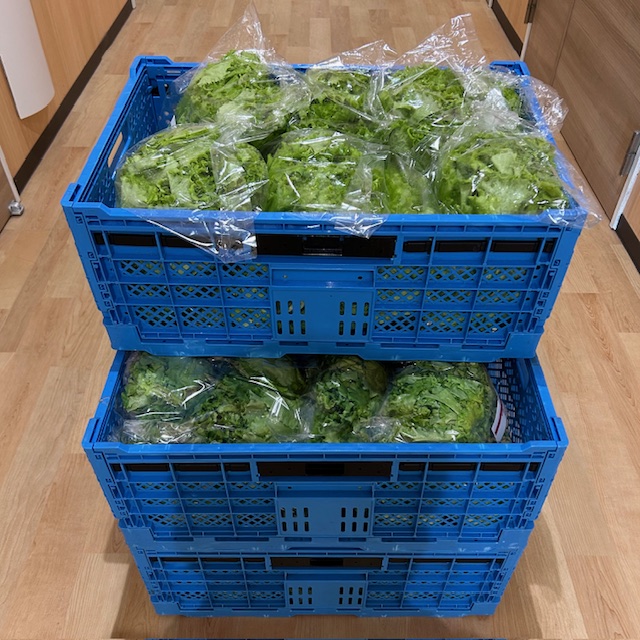 ご支援ありがとうございます！