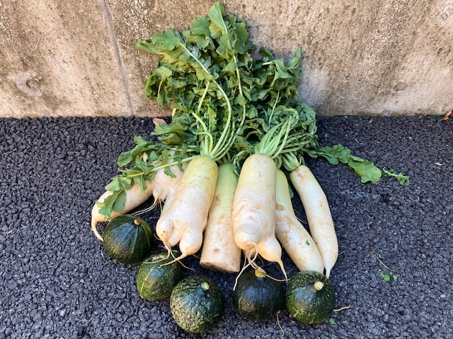 お野菜のご支援ありがとうございました！