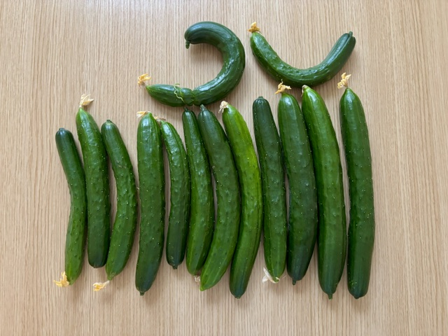 夏野菜ありがとうございます！