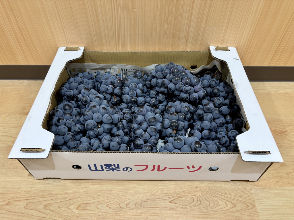 山梨ぶどうのご支援がありました！