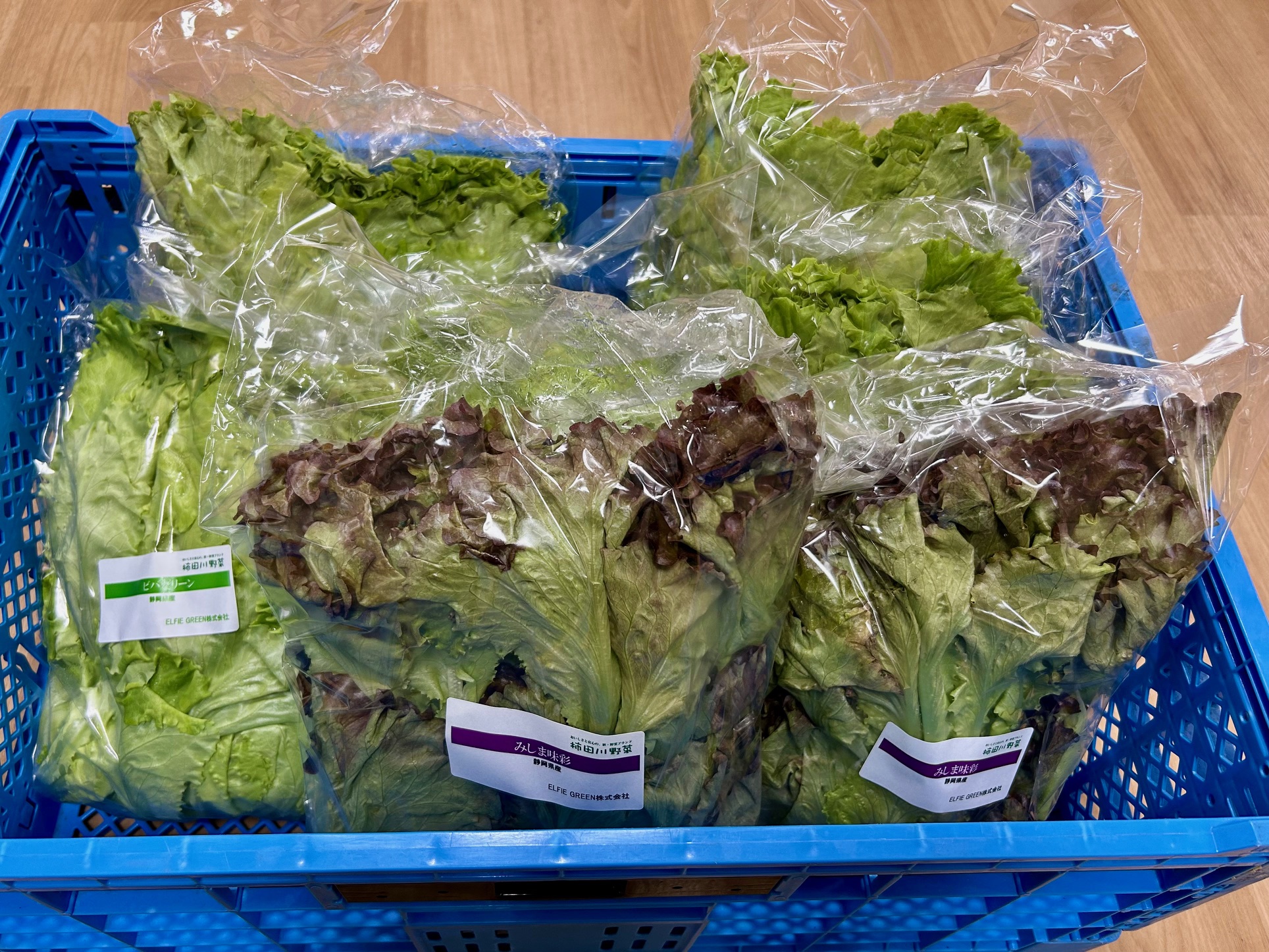 ご支援ありがとうございます！