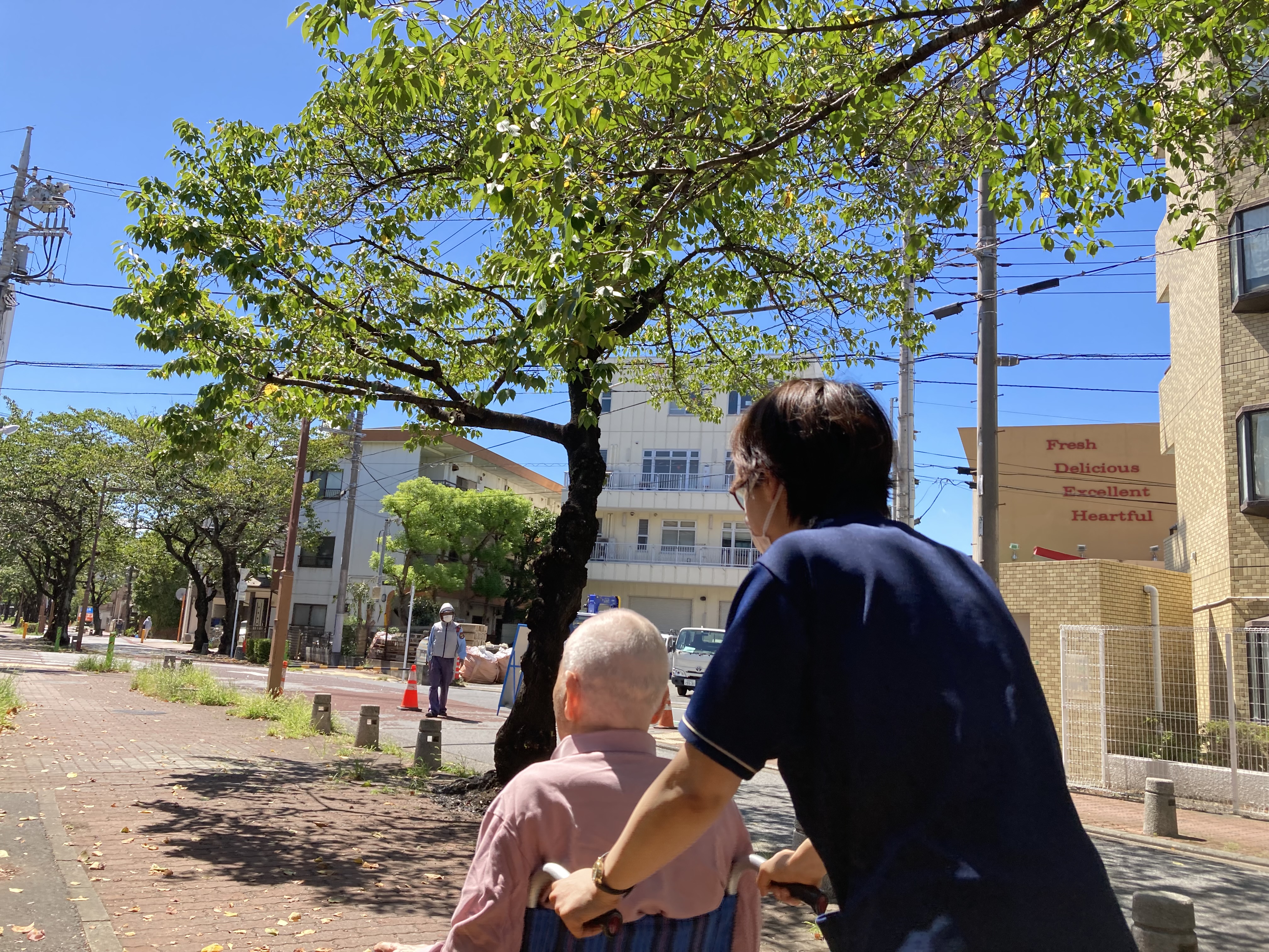 お散歩